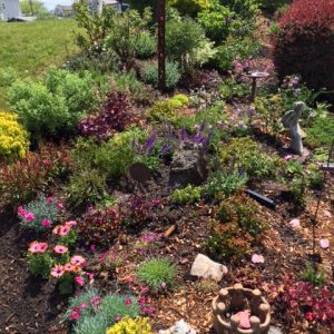 Planted Yesterday Fairfield Connecticut "Healing Garden" a garden bed with a variety of different flowers, shrubs and trees.